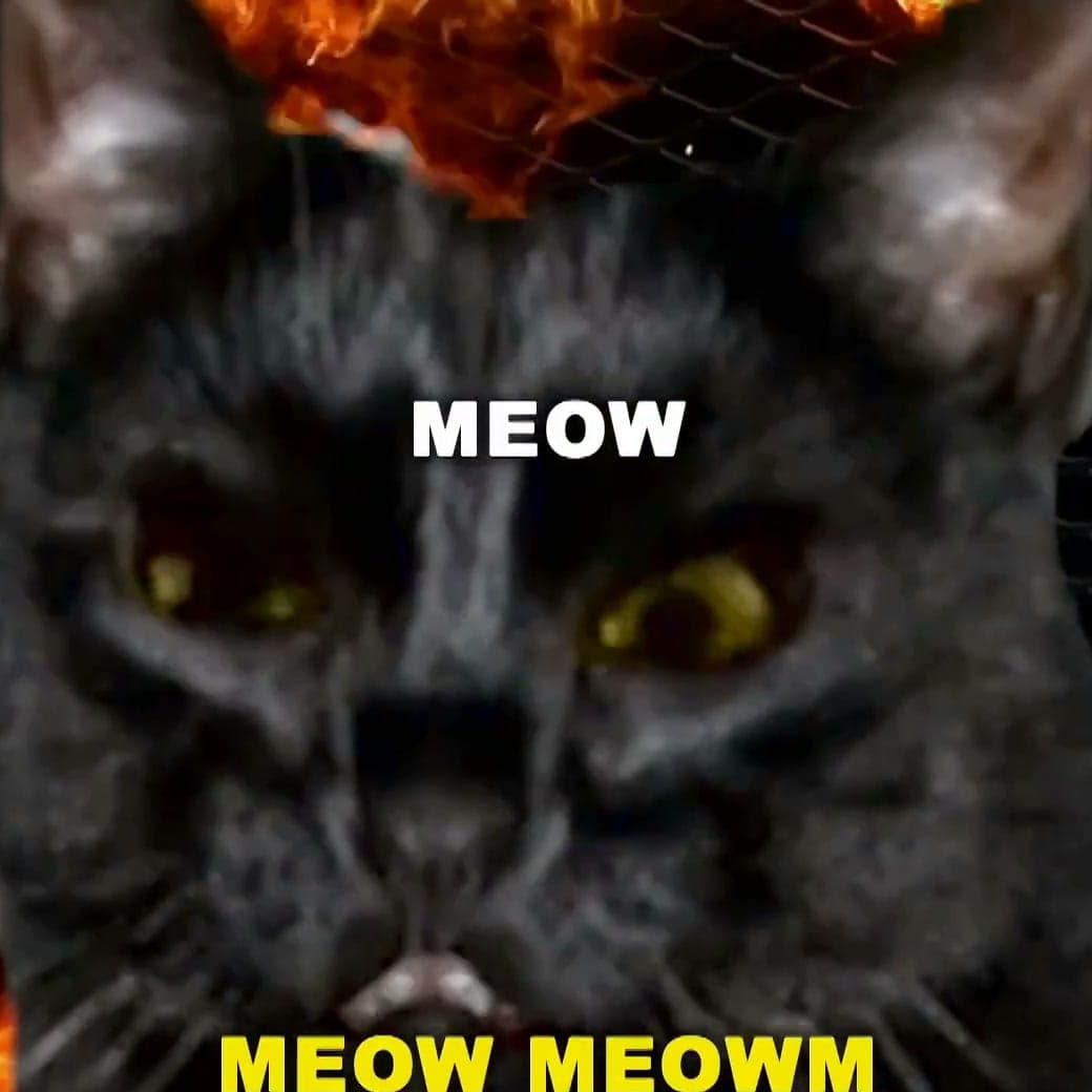 A cat headbanging in brutal style